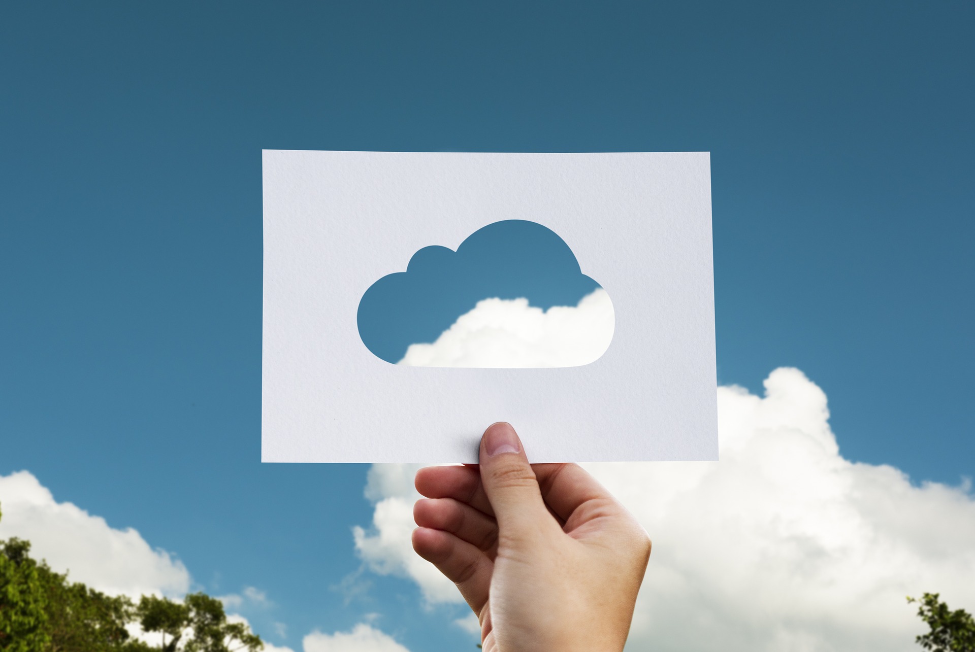 Why You Need An Accounting Software Up In The Cloud.